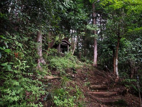 namimushisrn:御嶽神社（2018/09/13）　　Ontake-Shrine埼玉県飯能市中藤中郷 ...