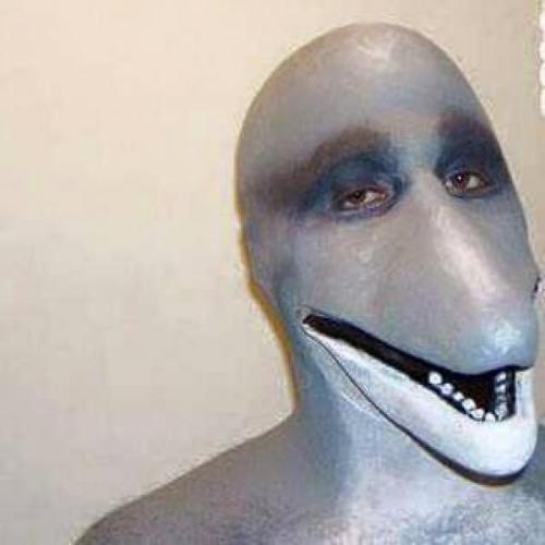 dolphin man on Tumblr