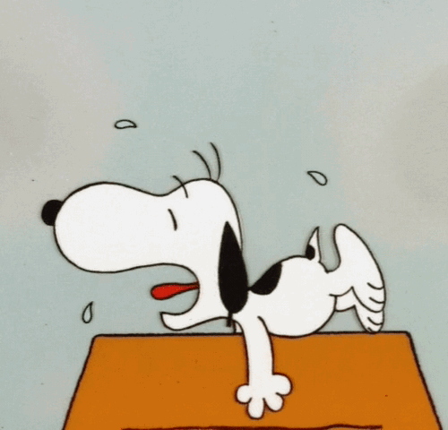 Image result for snoopy gif