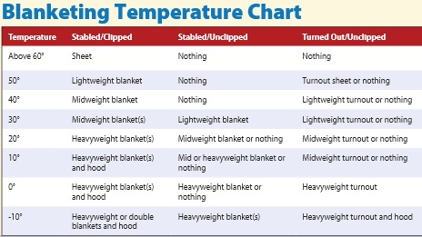 Horse Blanket Denier Chart