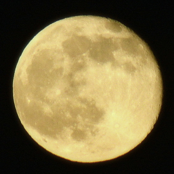 Honey Moon. Taken from the grounds of the... - Fat Chance