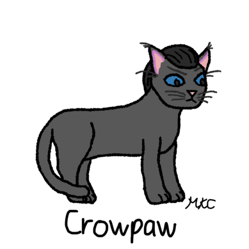 liepardstar