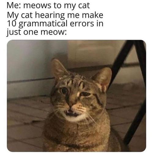 Please excuse my accent ๐ฝ