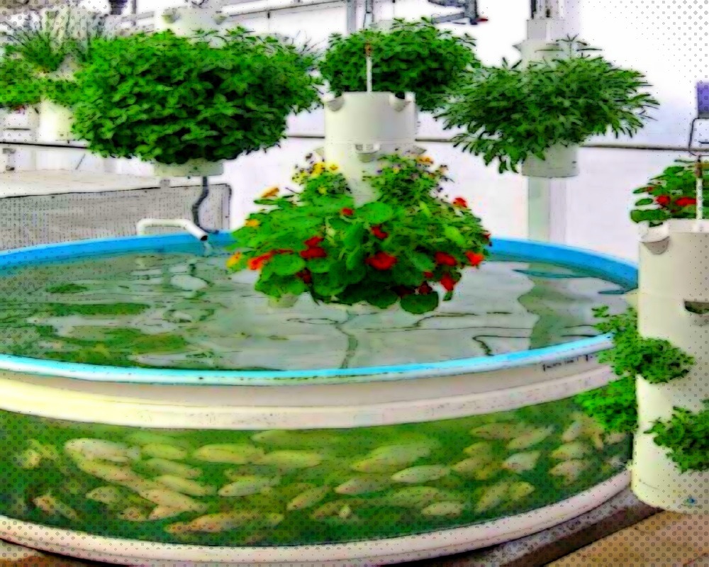 A thriving modern aquaponics system with fresh produce growing in a sustainable garden setup