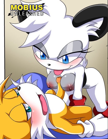 sonichentai360:Lucky tails 22