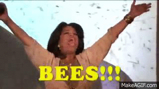 Image result for oprah bees gif
