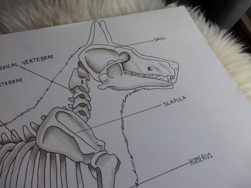 guroillustration