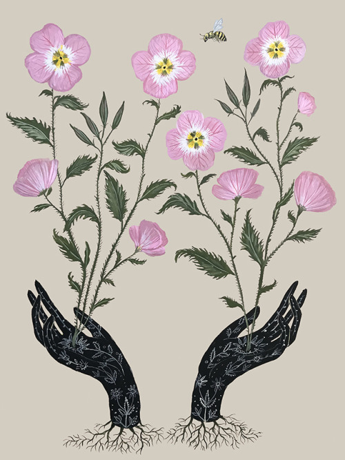 swan-bones:Primrosegouache on paper, 2018by Kelly Louise Judd