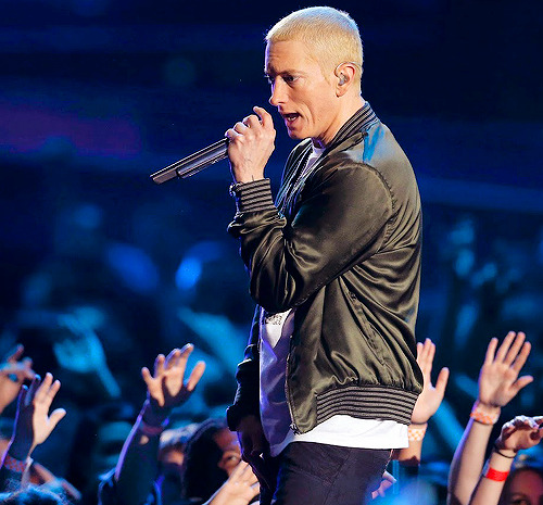 eminem show 2014