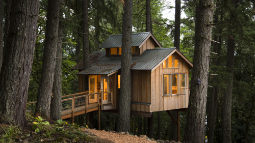 cabinporn:Treehouse in Newberg, OregonFilmed by Sam...