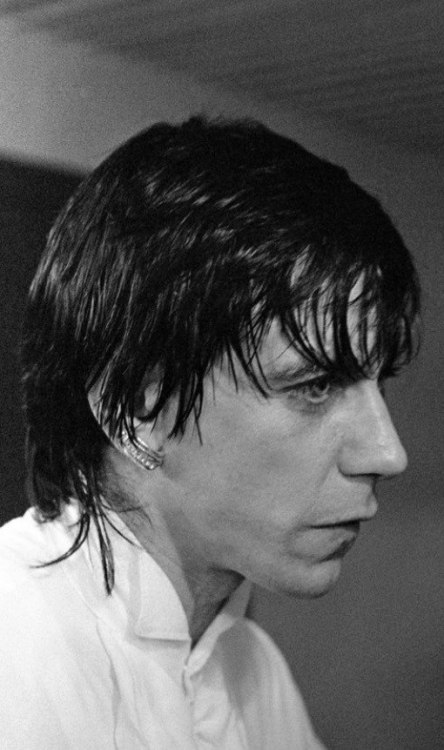 theunderestimator-2:Iggy Pop photographed in July 1976 by...