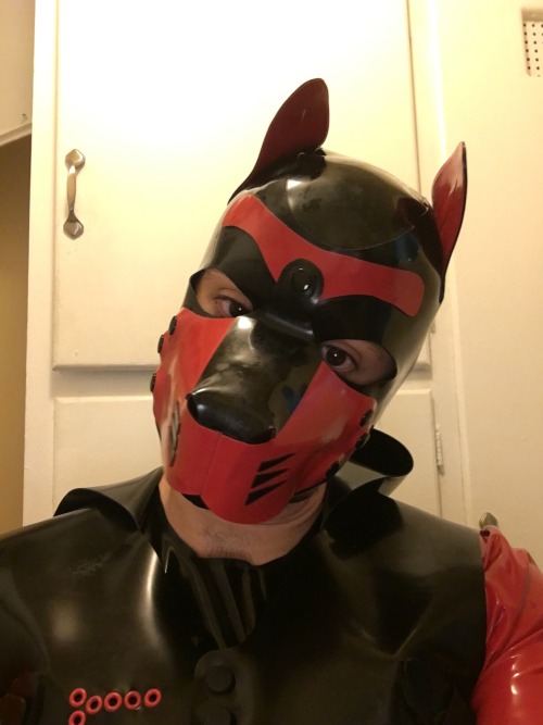 rubbrphoenixx:I really become other on a puppy mask. Woof 