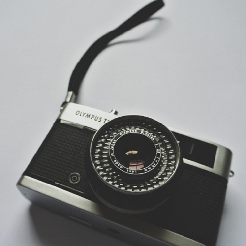 Vintage Cameras