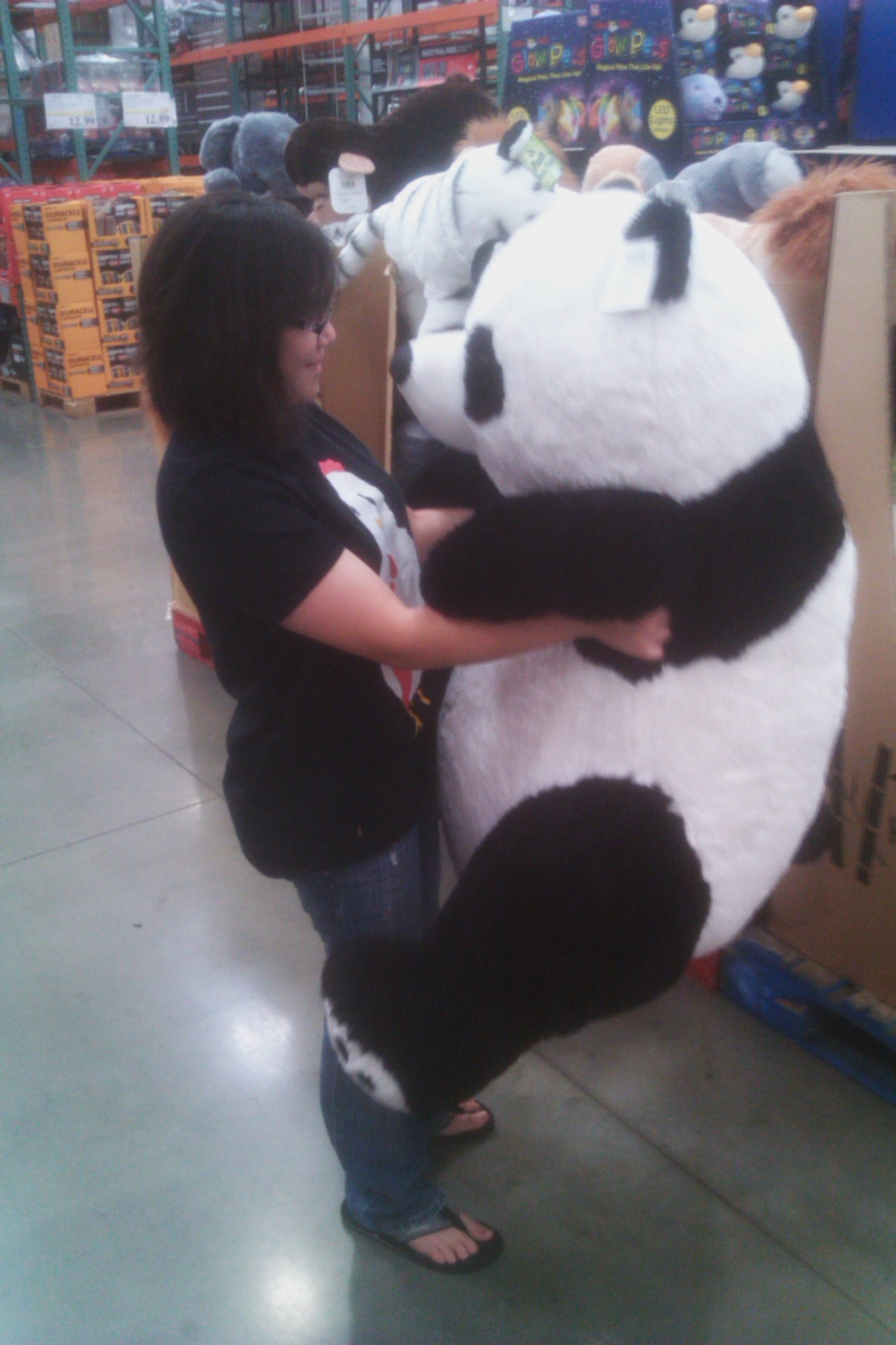 costco panda bear