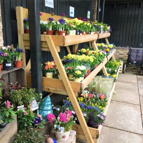 fleurophelia:Cute farmshop visits with my mum & Gran...