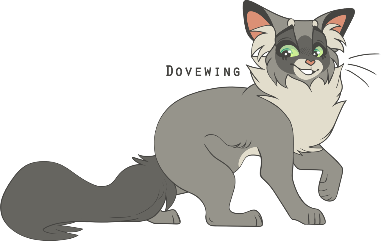100 Warrior Cats Challenge Day 100 DOVEWING  