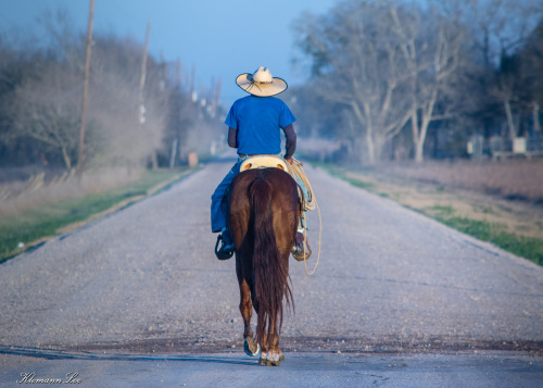 Photographers on tumblr original-photographers Texas Rural life Horse rider gravel road