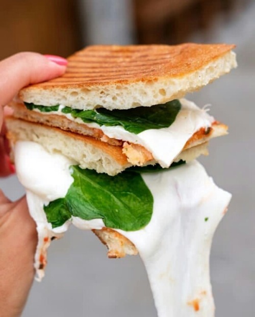 Mozzarella Panini Tumblr