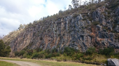 Deformed limestone strata exposed on a cliff face. It’s so cool...