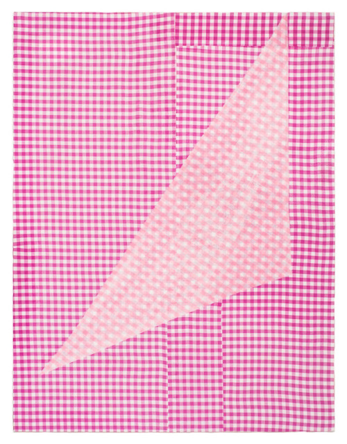 mentaltimetraveller:Cheryl Donegan; Untitled (two rose gingham),...