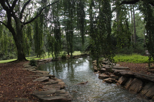 bvddhist:catnipem:longwood gardens+