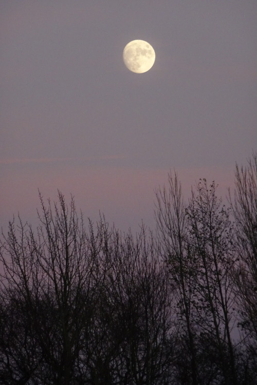 astronemma:Yesterday’s Moonrise. 