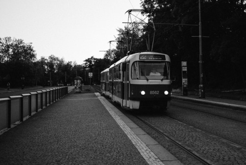 Praha Česká republika Česká Tram bestoftumblr photographers on tumblr artists on tumblr photo photography photograph black and white photography Street Photography street City Streets streetphotography Street photoshoot city scape City Scenes urban Black and White noir et blanc Black and White Photograph Black and White photoshoot B&W Photography monochrome monotone Monochrome Photography original photography original photographers Leica