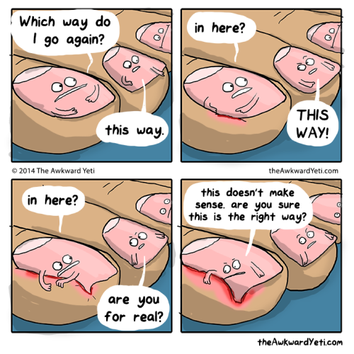 The Awkward Yeti