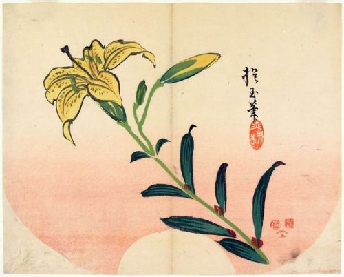 fujiwara57:Uchiwa-e 団扇絵  - “lily ; white-camellia...