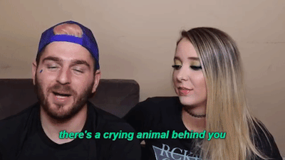 https://66.media.tumblr.com/1d4f87bb29774c2b5b82ffb4b3234da4/tumblr_oofebs0sM41tkopa3o1_400.gif