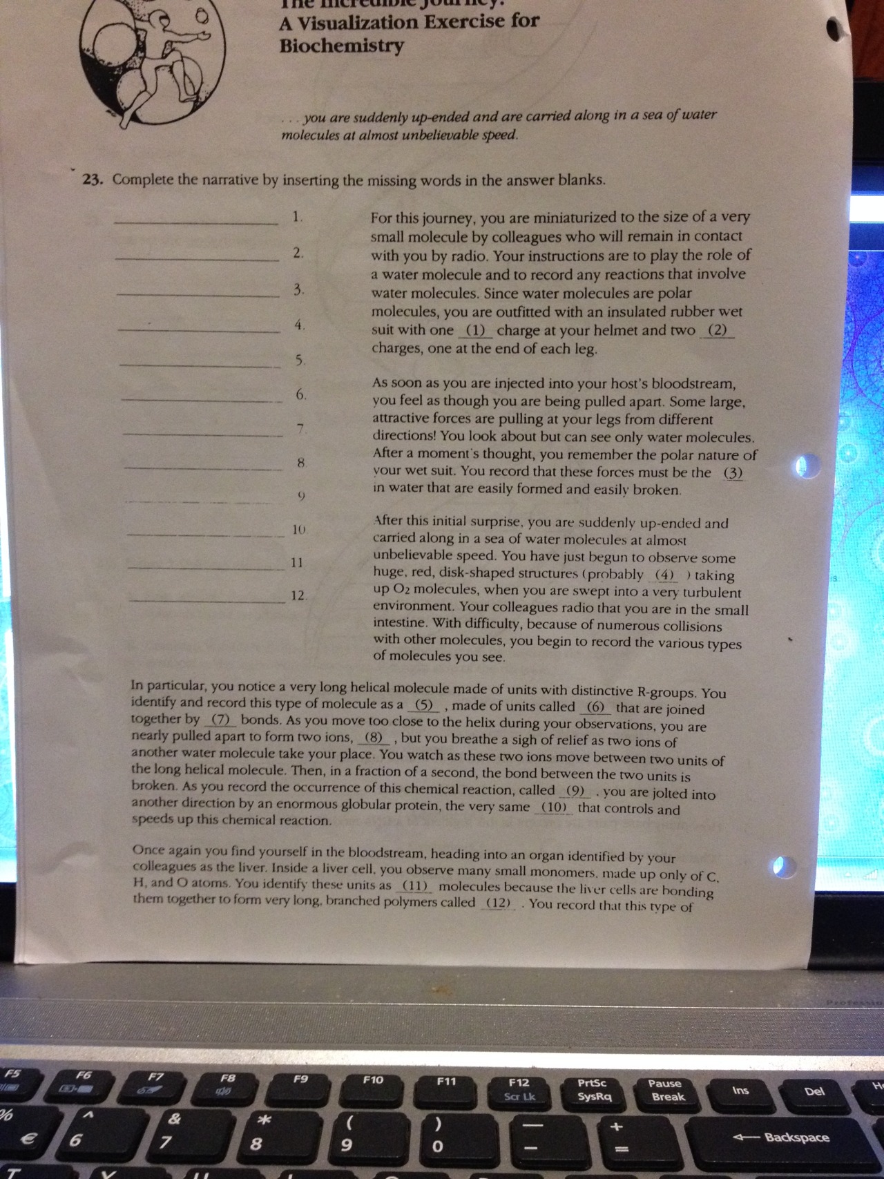We do your homework