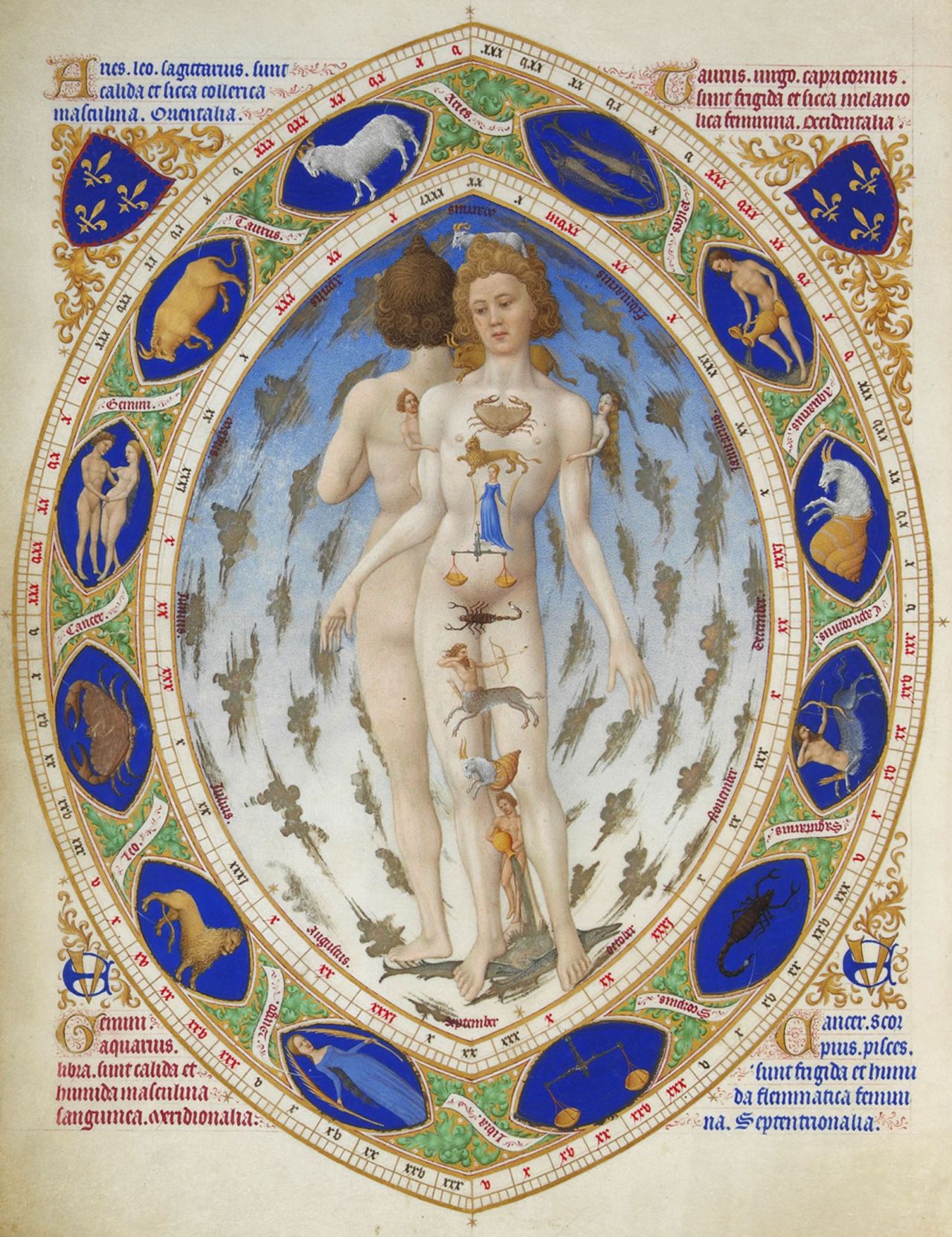 mediumaevum:
“ You probably associate Très Riches Heures du duc de Berry with the calendar pages, but it has many more stunning illustrations. Like this Anatomical man.
Each zodiac sign corresponds to a specific part of the body, starting with...