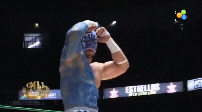 Image result for Blue Panther Jr gif