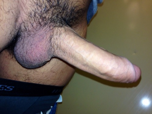 XL Big Dick