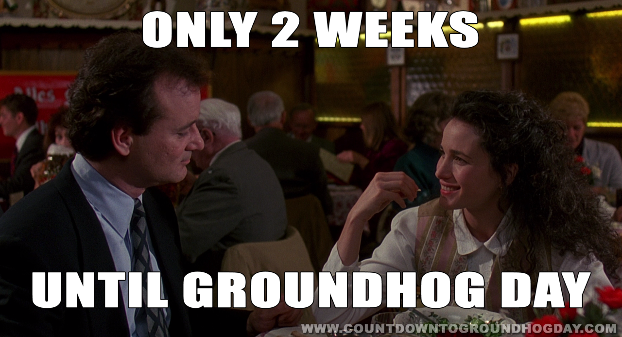 Two weeks until Groundhog Day