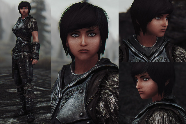 skyrim npc face replacer