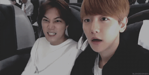 •Welcome To EXO Reactions!•