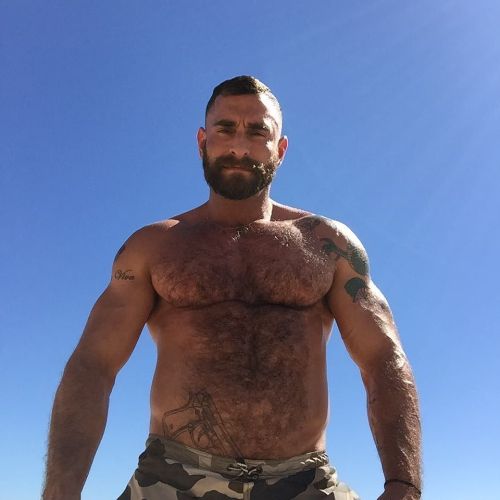 hairy chest - sexy muscle - mature men