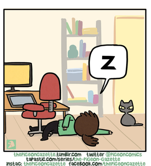 thepigeongazette:I’m just….so….tired.