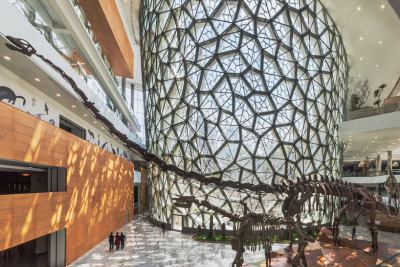 Shanghai Natural History Museum / Perkins + Will