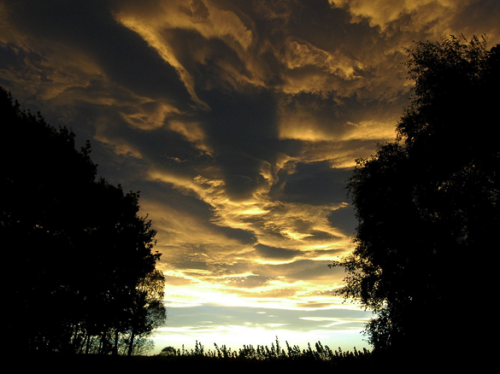 noctiluca-scintillans:awkwardsituationist:asperatus clouds...