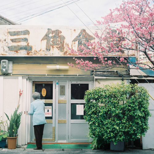 masanoritsuchiya:三角食堂| Instagram | Facebook | Okinawa...