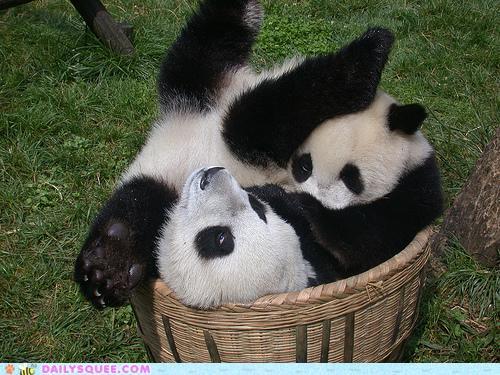 beautyinwild:Acting Like Animals: Tight Fit...