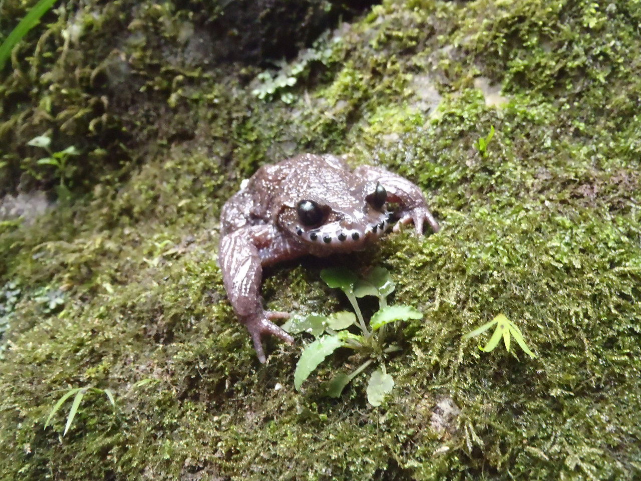 Tired of these toads with a mustache on his forehead: photos of Maria Kozhevnikova are discussed on the web 18.05.2018 96 Tired of these toads with a mustache on his forehead: photos of Maria Kozhevnikova are discussed on the web 18.05.2018 38