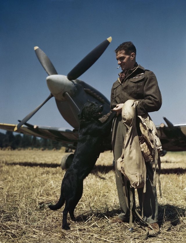 RAF Forever — bmashy: Best British flying ACE of World war II,...