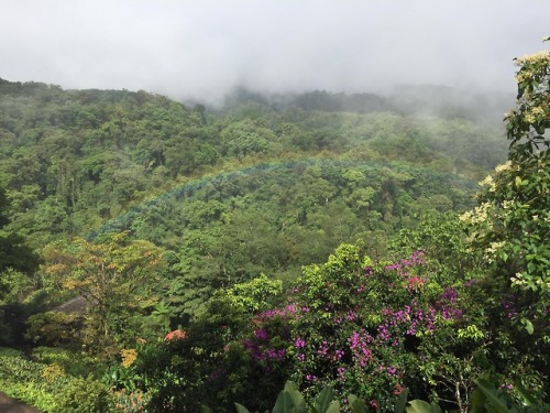 plantsylover:My mom took this in Costa Rica and I’m super...