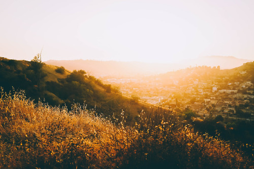 matthewgrantanson:Felix Felicis, Los Angeles – August 4th,...