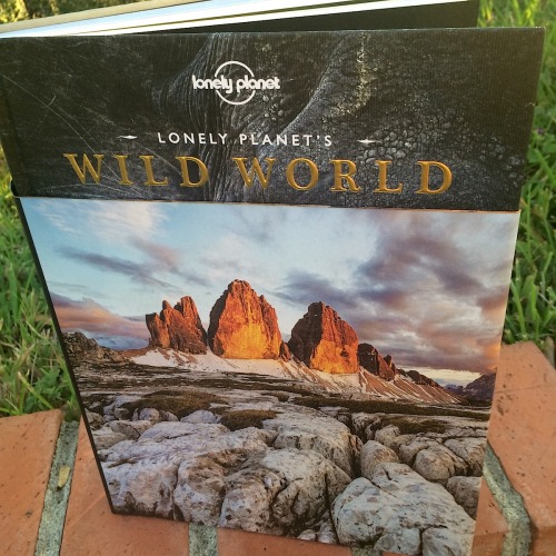 Lonely Planet’s Wild World pops with breath-taking...