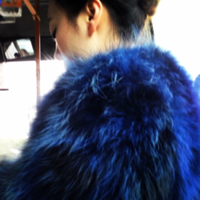 cookie monster coat