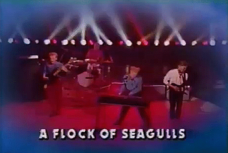 flock of seagulls hair gif